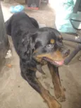 Meg e Zeus