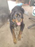 Meg e Zeus