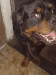 Meg e Zeus