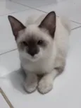 Rubi