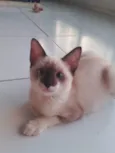 Rubi
