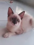 Rubi