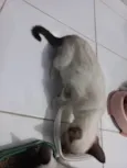 Rubi