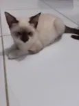 Rubi