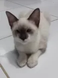 Rubi
