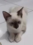 Rubi