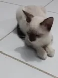 Rubi