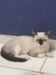 Rubi