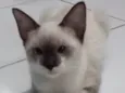 Rubi