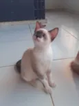 Rubi