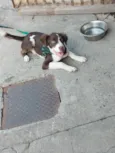 Lucky