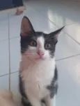 Mel