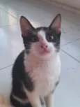 Mel