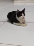 Mel