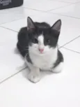 Mel