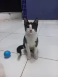 Mel
