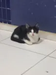 Mel