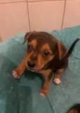 Ana Clara