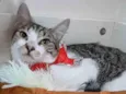 MAÍSA