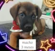 CUCO