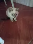 Linda