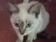 Linda