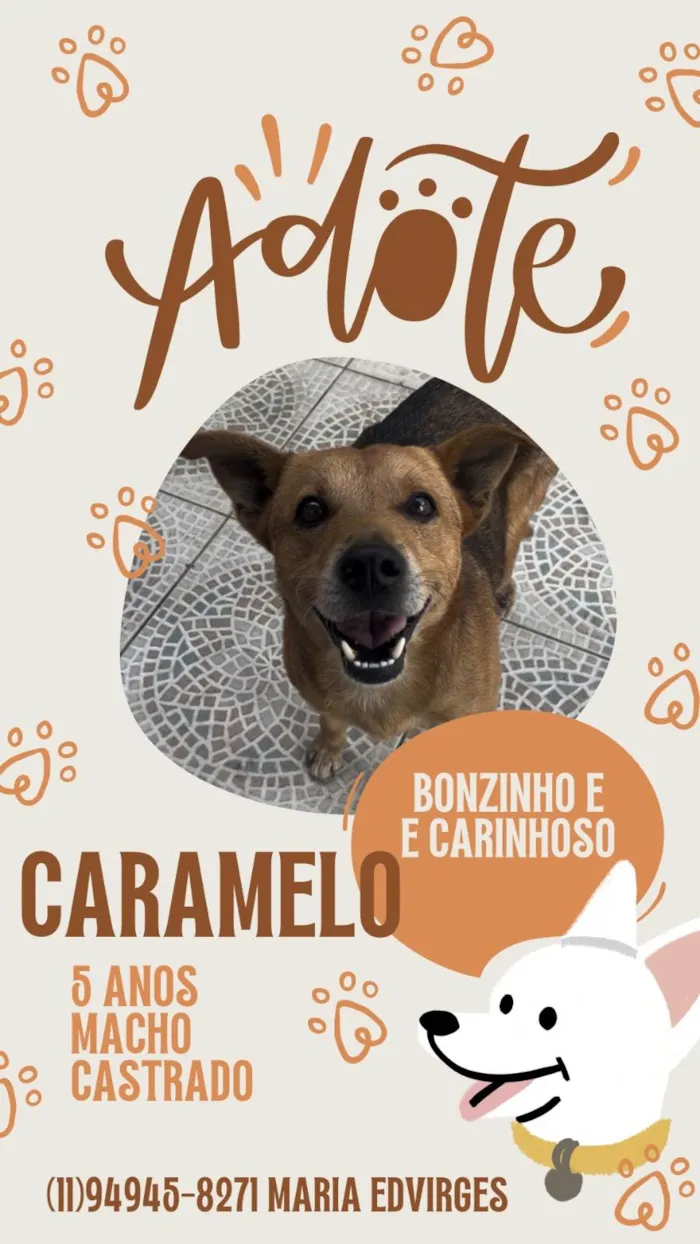 Cachorro ra a SRD-ViraLata idade 5 anos nome CARAMELO