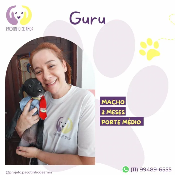 Cachorro ra a SRD-ViraLata idade 2 a 6 meses nome Guru