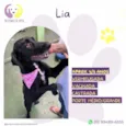 Lia
