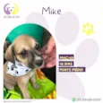 Mike