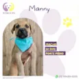 Manny