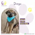 Diego