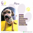 Abu