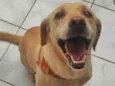 Lila - Sem nome