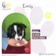Emily