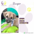 Roger