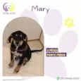 Mary