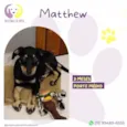 Matthew
