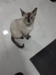 Mel