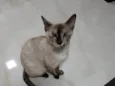 Mel