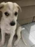 Lola
