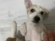 Lola