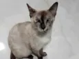 Mel