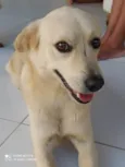 Polar e Mel