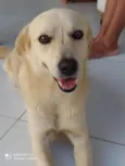 Polar e Mel