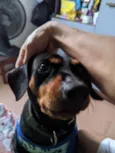 Bob
