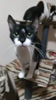 Viny