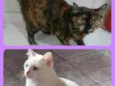 Marrye/ Zury