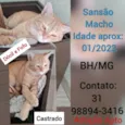 Sansão