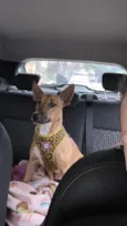 Lupita